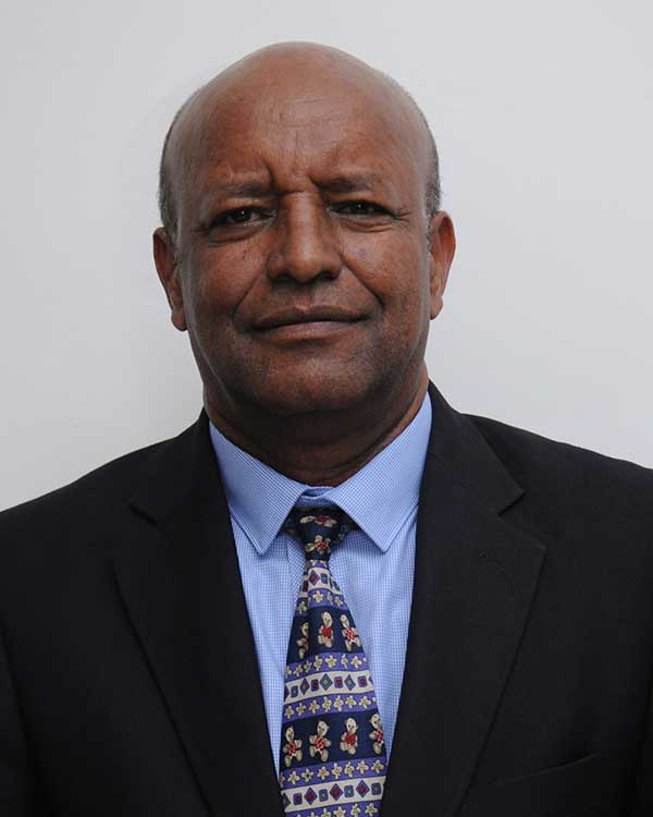 Prof. Mekonnen Hailemariam, ALLPI